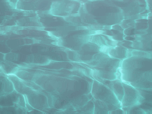 water slightly rippling in a pool. click me to read my bio!